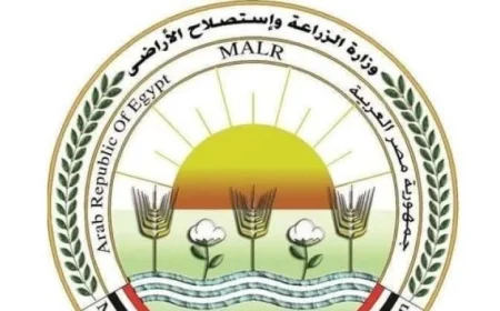 البحوث الزراعية يوضح: لا علاقة لنا بمنتجات زيت الزيتون المنتشرة على وسائل التواصل الاجتماعي