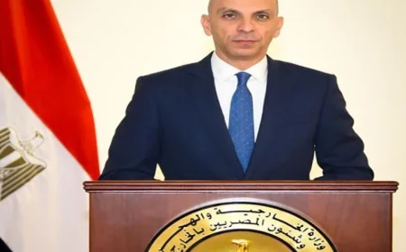 متحدث الخارجية يصف تراجع دور مصر في القضية الفلسطينية بالعبث السياسي