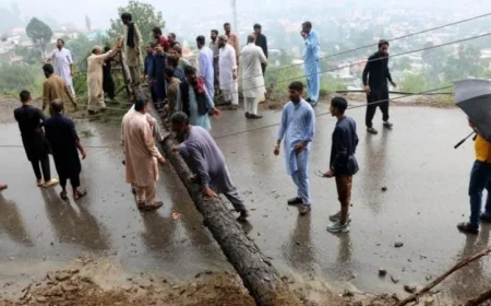 باكستان: الأمطار الغزيرة تودي بحياة وتجرح 70 شخصًا في ديرا إسماعيل خان