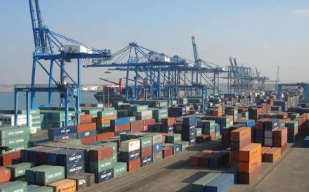 تفاصيل حركة تداول 23 سفينة حاويات وبضائع عامة في ميناء دمياط اليوم