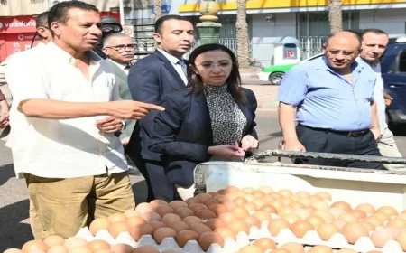 إطلاق قوافل بيع البيض بأسعار مخفضة في البحيرة بالتعاون مع الإصلاح الزراعي