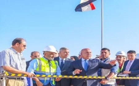 وزير يتفقد موقع مجمع ألستوم الصناعي في برج العرب الجديدة بالإسكندرية