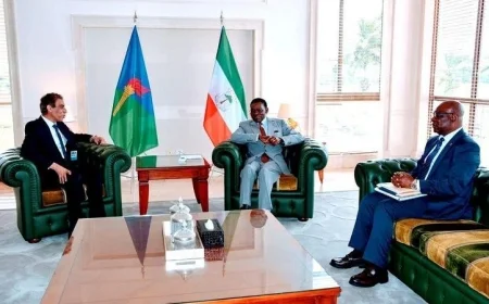 لقاء السفير المصري في مالابو برئيس جمهورية غينيا الاستوائية يعزز العلاقات الثنائية