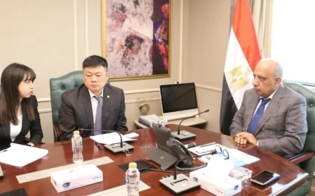 وزير الكهرباء يناقش فرص الشراكة مع تشاينا انيرجي في الطاقة المتجددة