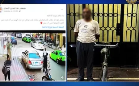 تعرف على تفاصيل فيديو اعتداء على شخص من ذوي الهمم في المنوفية