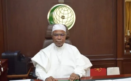 أمين التعاون الإسلامي يشدد على أهمية مؤتمر إعادة الإعمار ووقف الحرب