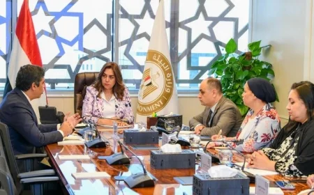 وزارة البيئة تؤكد التزامها بتعزيز الاستثمار في مصانع إعادة تدوير المخلفات