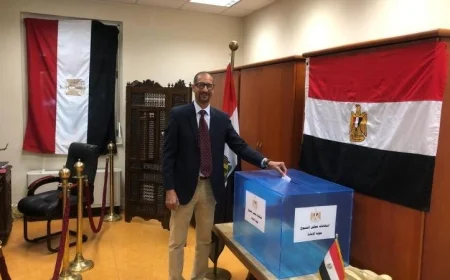 استمرار تصويت المصريين في دول إفريقيا وأوروبا والوطن العربي