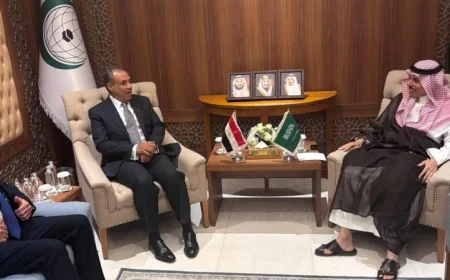 تعزيز العلاقات بين السعودية ومصر: وزير الخارجية السعودي ونظيره المصري يشيدان بالتقدم المتصاعد