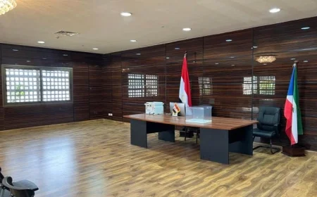 فتح أبواب 11 لجنة انتخابية في إفريقيا لاستقبال الناخبين المصريين