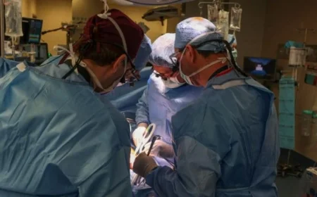 سابقة عالمية: نجاح زراعة أول رئة خنزير في جسم بشري