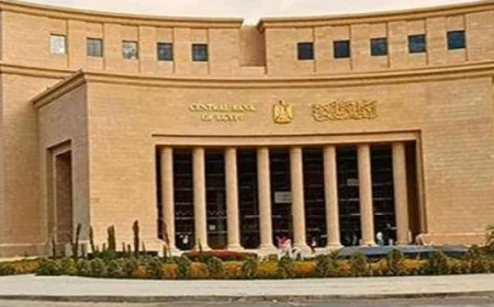 البنك المركزي يعلن تسجيل تحويلات المصريين بالخارج رقماً قياسياً بقيمة 36.5 مليار دولار