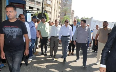 محافظ القاهرة يطلق حملة لمنع الانتظار الخاطىء وإزالة السلاسل الحديدية مجددًا