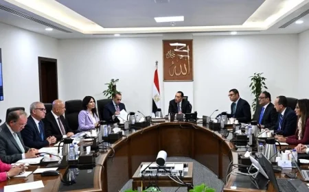 مدبولي يبحث تعاون القطاع الخاص في تنفيذ مشروعات الكهرباء بالمدن الجديدة