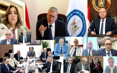 مبيعات المنتجات البترولية تتخطى حاجز 21 مليون طن في عام واحد