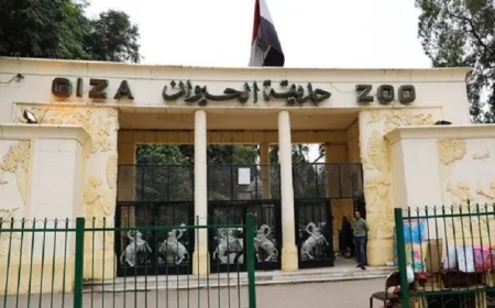 تحالف تطوير حديقتي الحيوان والأورمان يستعين بأفضل الخبرات في الرعاية البيطرية