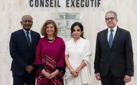 الاتحاد الإفريقي يعلن رسميا دعم ترشيح العناني لمنصب مدير اليونسكو