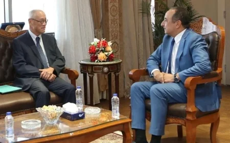 وزير قطاع الأعمال العام يلتقي سفير اليابان لبحث فرص تعزيز التعاون المشترك