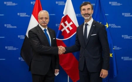 وزير خارجية سلوفاكيا يثني على التقدم الملحوظ في العلاقات الثنائية مع مصر