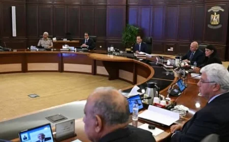 مجلس الوزراء يقر أسعار توريد القمح والقصب وبنجر السكر لجذب المزيد من المزارعين