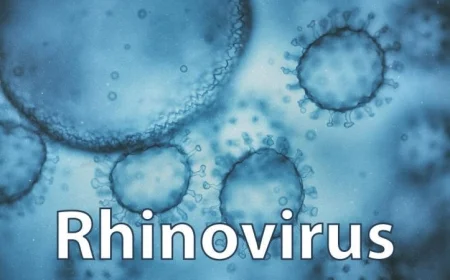 كيف يمكن لنزلة برد بسيطة أن تعزز مناعتك ضد كوفيد-19