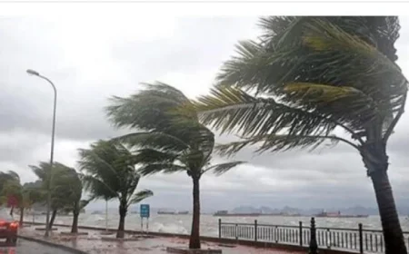 دراسة تكشف تأثير تغير المناخ في زيادة العواصف العملاقة