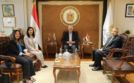 عاشور يبحث تعزيز التعاون مع برنامج الأمم المتحدة الإنمائي في مصر