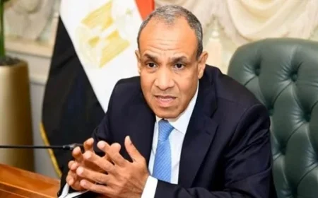 جهود مصرية حثيثة بقيادة عبد العاطي لتحقيق وقف إطلاق النار في غزة