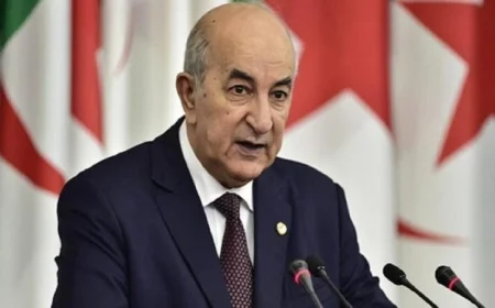 الرئيس الجزائري يعين سيفي غريب رئيسا للوزراء ويعفي العرباوي في تعديل حكومي جديد