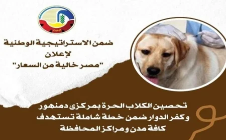 حملة تحصين الكلاب تنطلق في مركزي دمنهور وكفر الدوار بتنظيم من بيطري البحيرة