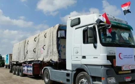 134 شاحنة مساعدات تعبر ميناء رفح إلى غزة لمساندة القطاع