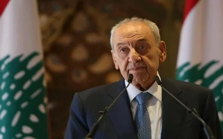 بري يعرب عن امتنانه لمجلس الأمن لتمديد مهام اليونيفيل في لبنان