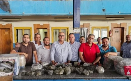 جمارك الصادرات الجوية تنجح في إحباط تهريب الأحجار شبه الكريمة النادرة