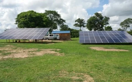 ارتفاع واردات الألواح الشمسية الصينية في إفريقيا بنسبة 60% خلال عام واحد