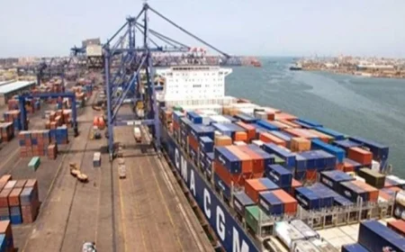 حركة نشطة في ميناء دمياط: تداول 21 سفينة حاويات وبضائع عامة