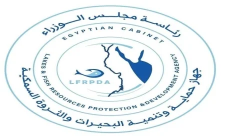 مشروع دعم بحيرة قارون: مبادرة ناجحة لحماية وتنمية البحيرات تختتم بإطلاق يرقات الجمبري