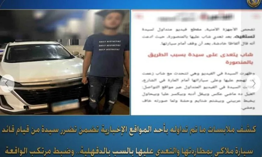 الداخلية تكشف تفاصيل تعرض سيدة للمطاردة والاعتداء اللفظي من سائق في الدقهلية
