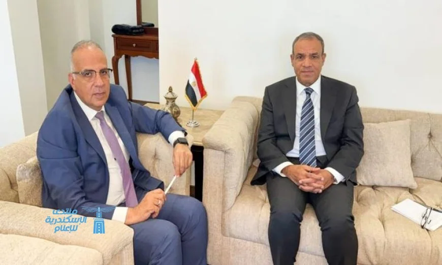 تعاون مثمر بين وزيري الخارجية والري لتعزيز الشراكة مع دول حوض النيل