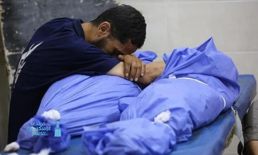 استشهاد 7 فلسطينيين بينهم 6 من منتظري المساعدات في غزة برصاص الاحتلال الإسرائيلي