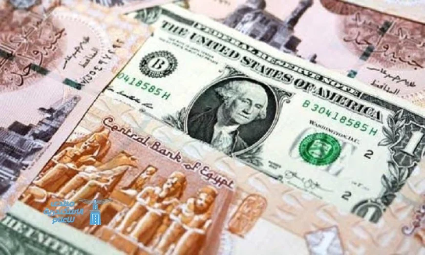 استقرار سعر الدولار بعد تراجع 22 قرشًا خلال الأسبوع الماضي