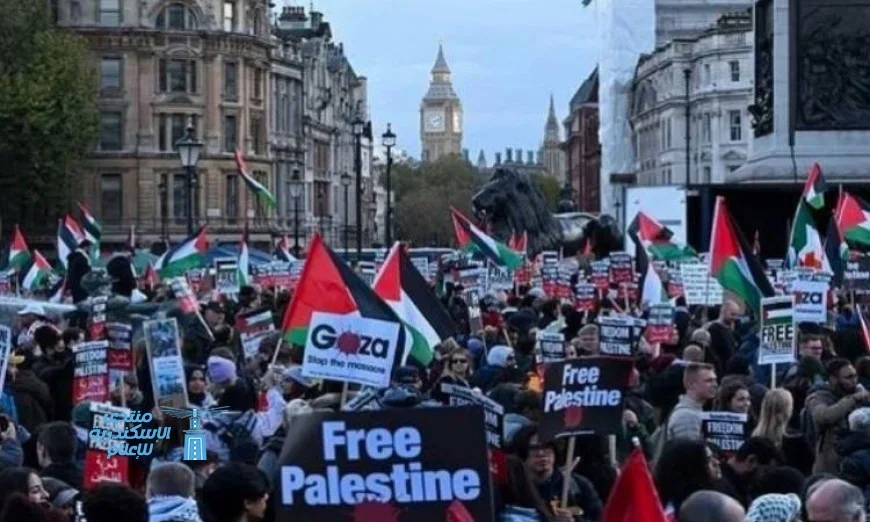 الهيئة الدولية تطالب بتحرك فوري لوقف الحرب على غزة ودعم حقوق الشعب الفلسطيني