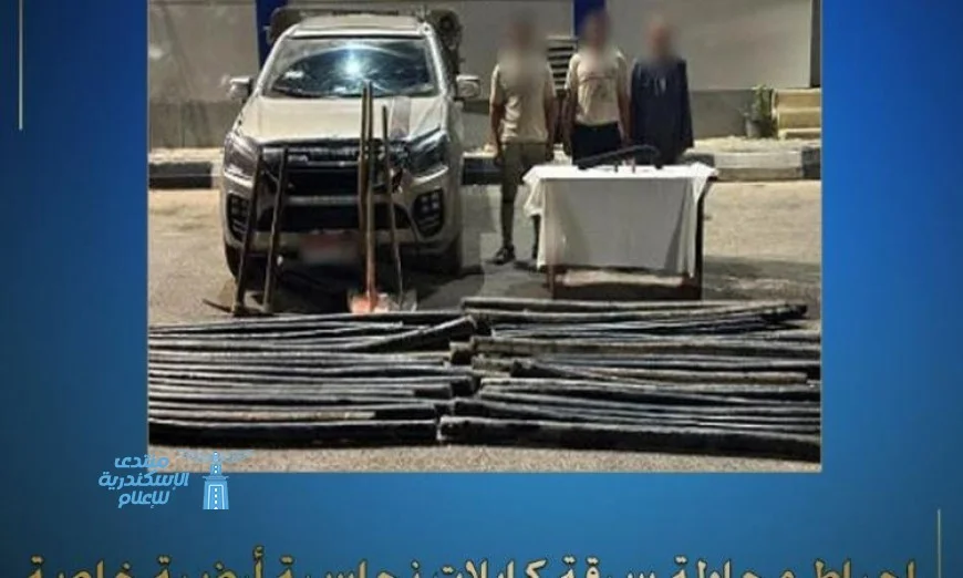 إحباط سرقة كابلات نحاسية في المنوفية ينجح في حماية شركة محلية
