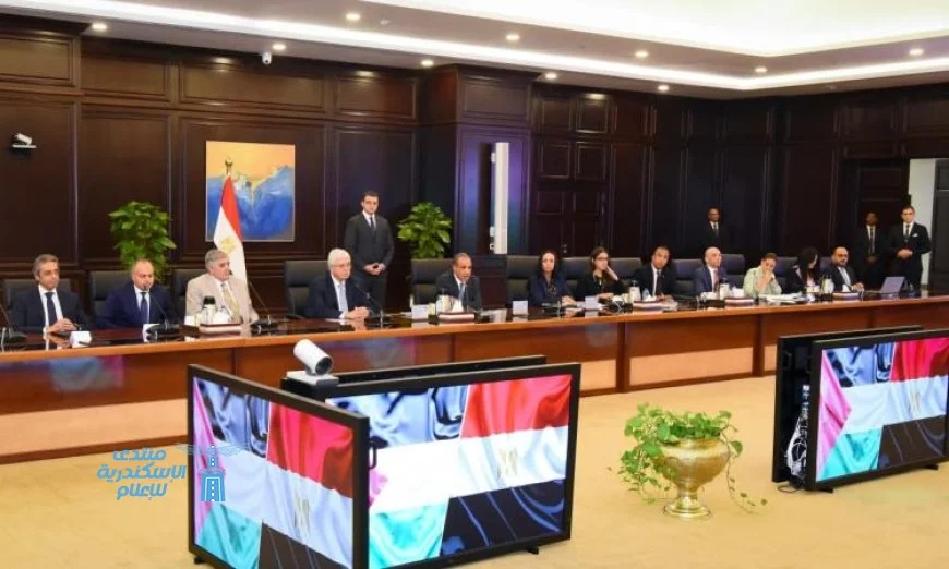 وزير الخارجية يواصل تعزيز الجهود المصرية لوقف إطلاق النار في غزة
