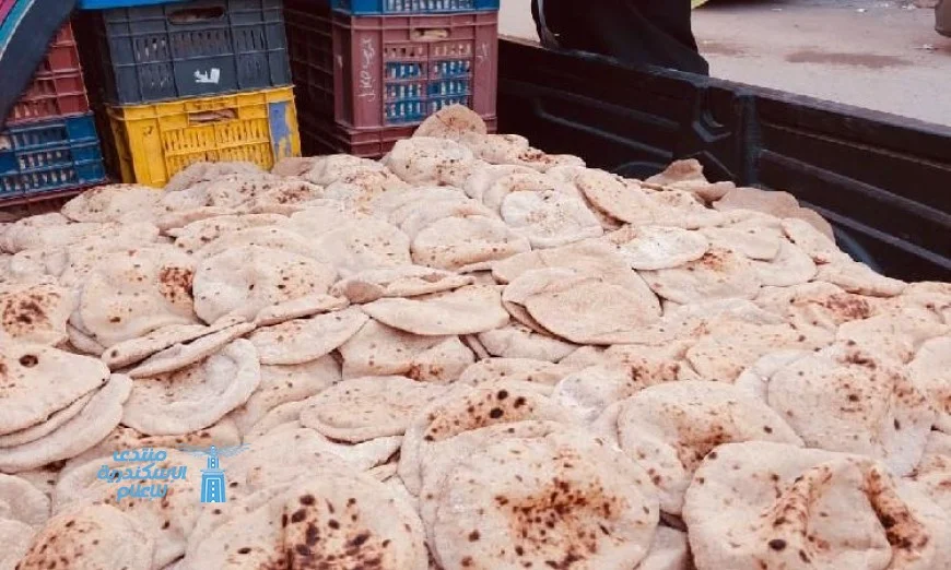 تحرير 84 محضرا متنوعا في حملات مكثفة على مخابز وأسواق المنيا من قبل التموين