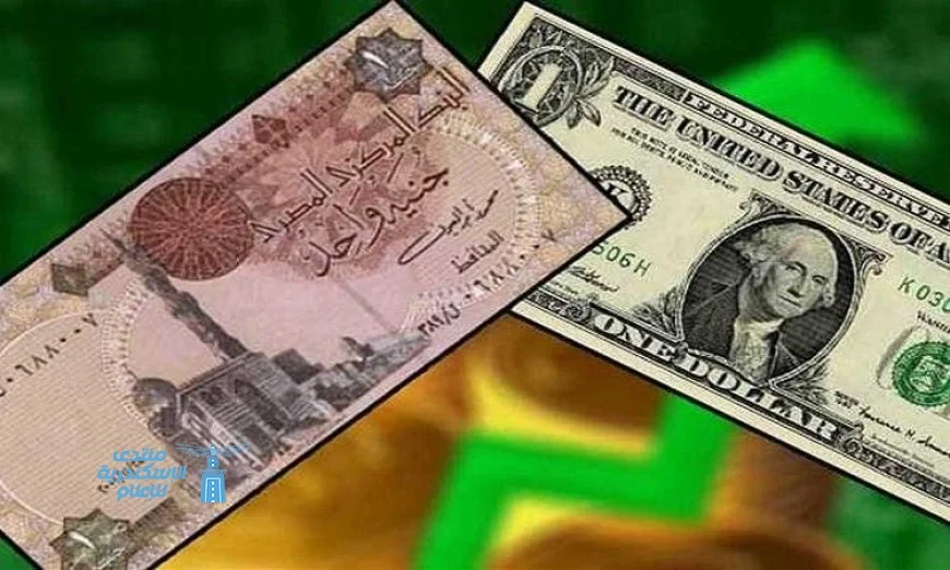 تعرف على استقرار سعر الدولار اليوم مقابل الجنيه في البنوك المصرية