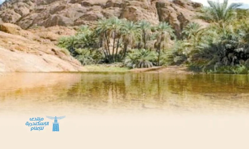 المحميات الطبيعية في مصر: كنز وطني وتراث بيئي عالمي كشفته جهاز شؤون البيئة