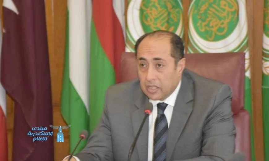 حسام زكي يؤكد دعم قرار الحكومة اللبنانية لاحتكار السلاح بيد الدولة