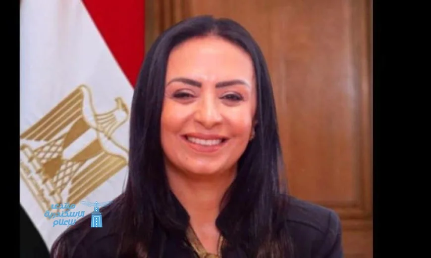 وزيرة التضامن تشرف على حصر الحضانات في جميع أنحاء الجمهورية