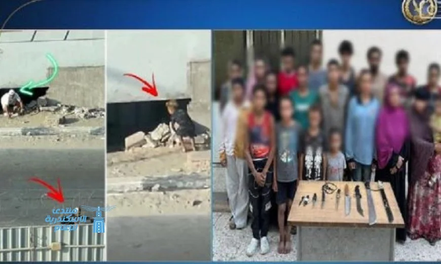 الأجهزة الأمنية بالجيزة تضبط 20 شخصا لاستغلالهم الأطفال في التسول