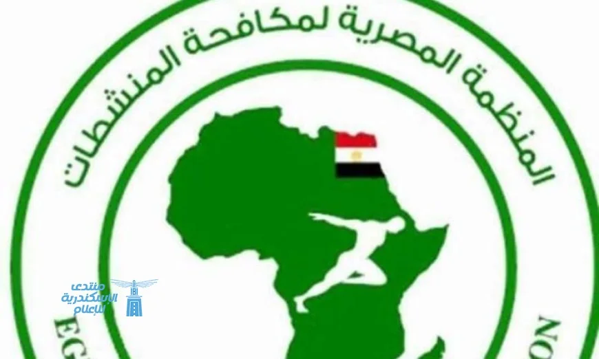 المنظمة المصرية لمكافحة المنشطات تراقب مباريات الدوري الممتاز لتعزيز النزاهة الرياضية